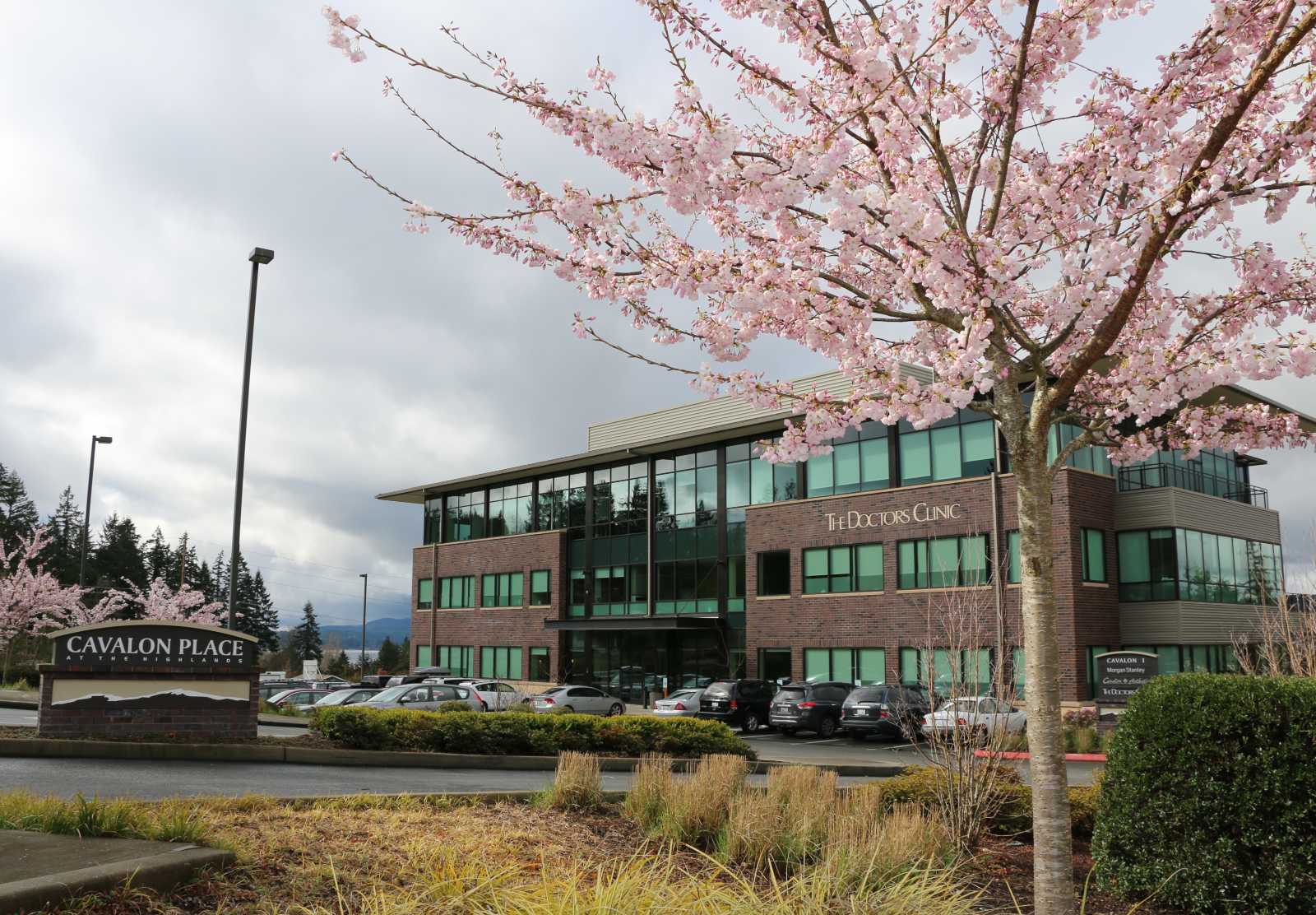 Large brick office building with lots of windows and a bright pink cherry tree in the foreground