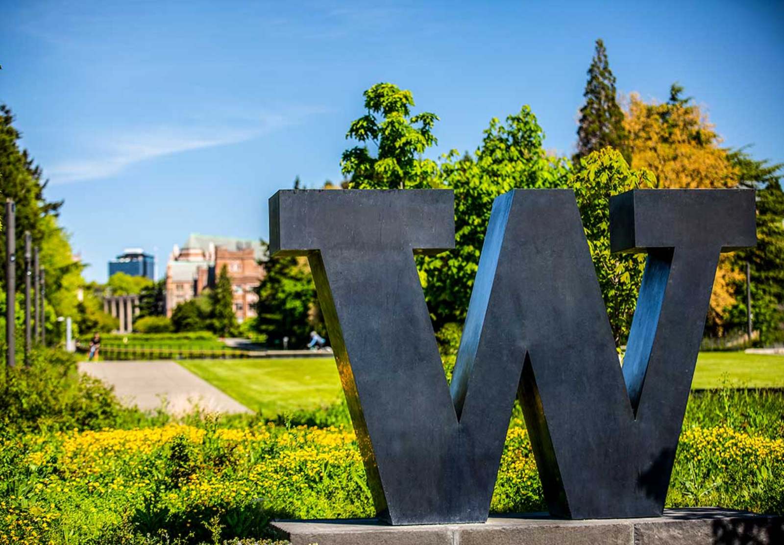 Large metal University of Washington W in the foreground with trees and buildings in the background